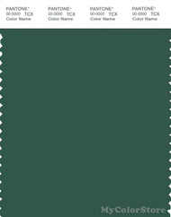 PANTONE SMART 19-5914 TCX Color Swatch Card | Pantone Jungle Green