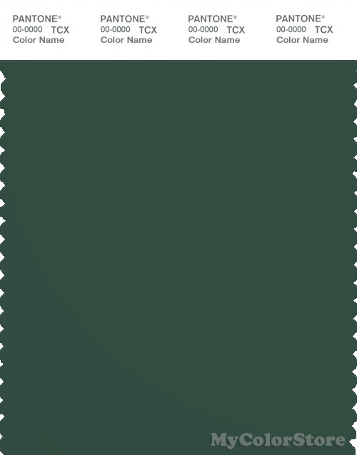 PANTONE SMART 19-5920X Color Swatch Card, Pineneedle