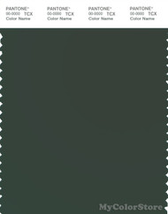PANTONE SMART 19-6110X Color Swatch Card, Deep Forest