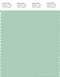 PANTONE SMART 13-5911X Color Swatch Card, Bird's Egg Green