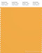 PANTONE SMART 15-1049X Color Swatch Card, Artisan's Gold