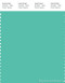 PANTONE SMART 15-5416X Color Swatch Card, Robin's Egg Blue