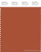 PANTONE SMART 18-1340X Color Swatch Card, Potter's Clay