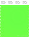 PANTONE SMART 13-0340TN Color Swatch Card, Green Gecko