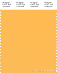 PANTONE SMART 13-1145TN Color Swatch Card, Orange Pop