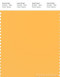 PANTONE SMART 13-1145TN Color Swatch Card, Orange Pop
