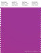 PANTONE SMART 18-3250TN Color Swatch Card, Purple Cactus Flower