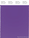 PANTONE SMART 18-3640TN Color Swatch Card, Electric Purple