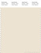 PANTONE SMART 11-0105X Color Swatch Card, Antique White