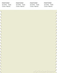 PANTONE SMART 11-0205X Color Swatch Card, Glass Green