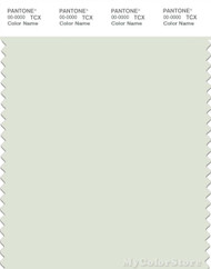 PANTONE SMART 11-0304X Color Swatch Card, Water Lily