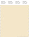 PANTONE SMART 11-0510X Color Swatch Card, Afterglow