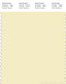 PANTONE SMART 11-0617X Color Swatch Card, Transparent Yellow