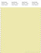 PANTONE SMART 11-0618X Color Swatch Card, Wax Yellow