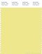 PANTONE SMART 11-0622X Color Swatch Card, Yellow Iris