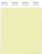 PANTONE SMART 11-0710X Color Swatch Card, Tender Yellow