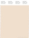 PANTONE SMART 11-0907X Color Swatch Card, Pearled Ivory