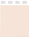 PANTONE SMART 11-1306X Color Swatch Card, Cream Pink