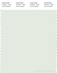 PANTONE SMART 11-4804X Color Swatch Card, Lightest Sky