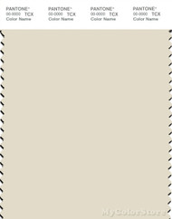 PANTONE SMART 12-0104X Color Swatch Card, White Asparagus