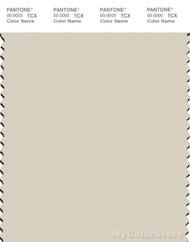 PANTONE SMART 12-0105X Color Swatch Card, Bone White