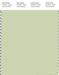PANTONE SMART 12-0313X Color Swatch Card, Seafoam Green