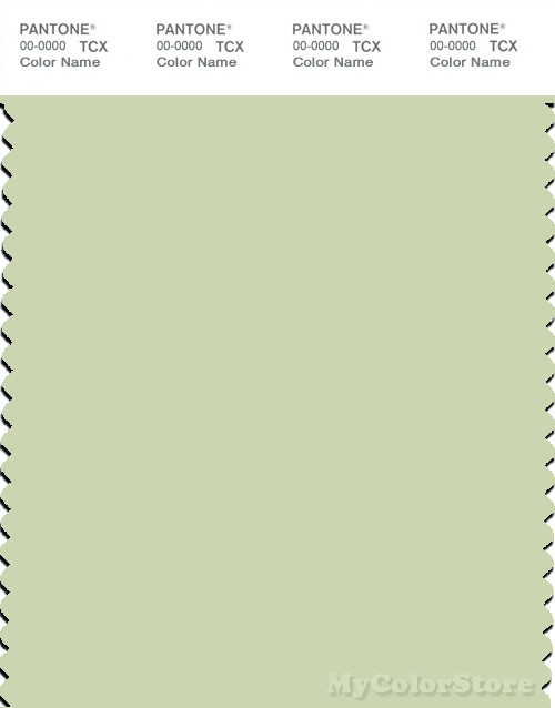 PANTONE SMART 12-0313X Color Swatch Card, Seafoam Green
