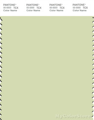 PANTONE SMART 12-0315X Color Swatch Card, White Jade