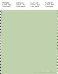 PANTONE SMART 12-0317X Color Swatch Card, Gleam