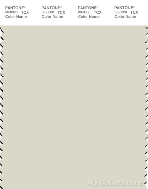 PANTONE SMART 12-0404 TCX Color Swatch Card | Pantone Light Gray