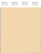 PANTONE SMART 12-0714X Color Swatch Card, Cornhusk