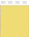 PANTONE SMART 12-0738X Color Swatch Card, Yellow Cream