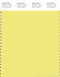 PANTONE SMART 12-0740X Color Swatch Card, Limelight