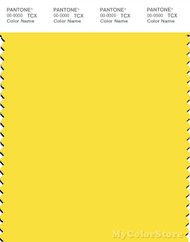 PANTONE SMART 12-0752X Color Swatch Card, Buttercup