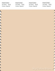 PANTONE SMART 12-0811X Color Swatch Card, Dawn