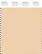 PANTONE SMART 12-0813X Color Swatch Card, Autumn Blonde