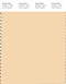 PANTONE SMART 12-0817X Color Swatch Card, Cream