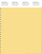 PANTONE SMART 12-0825X Color Swatch Card, Popcorn