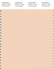 PANTONE SMART 12-0911X Color Swatch Card, Nude