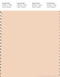 PANTONE SMART 12-0911X Color Swatch Card, Nude