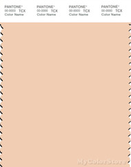 PANTONE SMART 12-0913X Color Swatch Card, Alesan