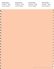 PANTONE SMART 12-0917X Color Swatch Card, Bleached  Apricot