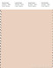 PANTONE SMART 12-1007X Color Swatch Card, Pastel Rose Tan