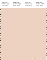 PANTONE SMART 12-1008X Color Swatch Card, Linen
