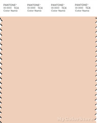 PANTONE SMART 12-1011X Color Swatch Card, Peach Puree