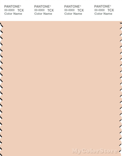PANTONE SMART 12-1011X Color Swatch Card, Peach Puree