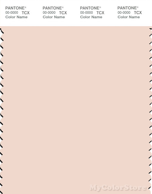 PANTONE SMART 12-1107X Color Swatch Card, Pink Champagne