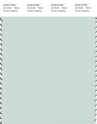 PANTONE SMART 12-4806X Color Swatch Card, Chalk Blue