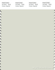 PANTONE SMART 12-5201X Color Swatch Card, Icicle