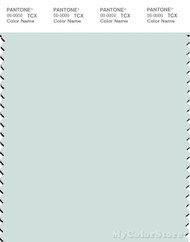PANTONE SMART 12-5204X Color Swatch Card, Morning Mist